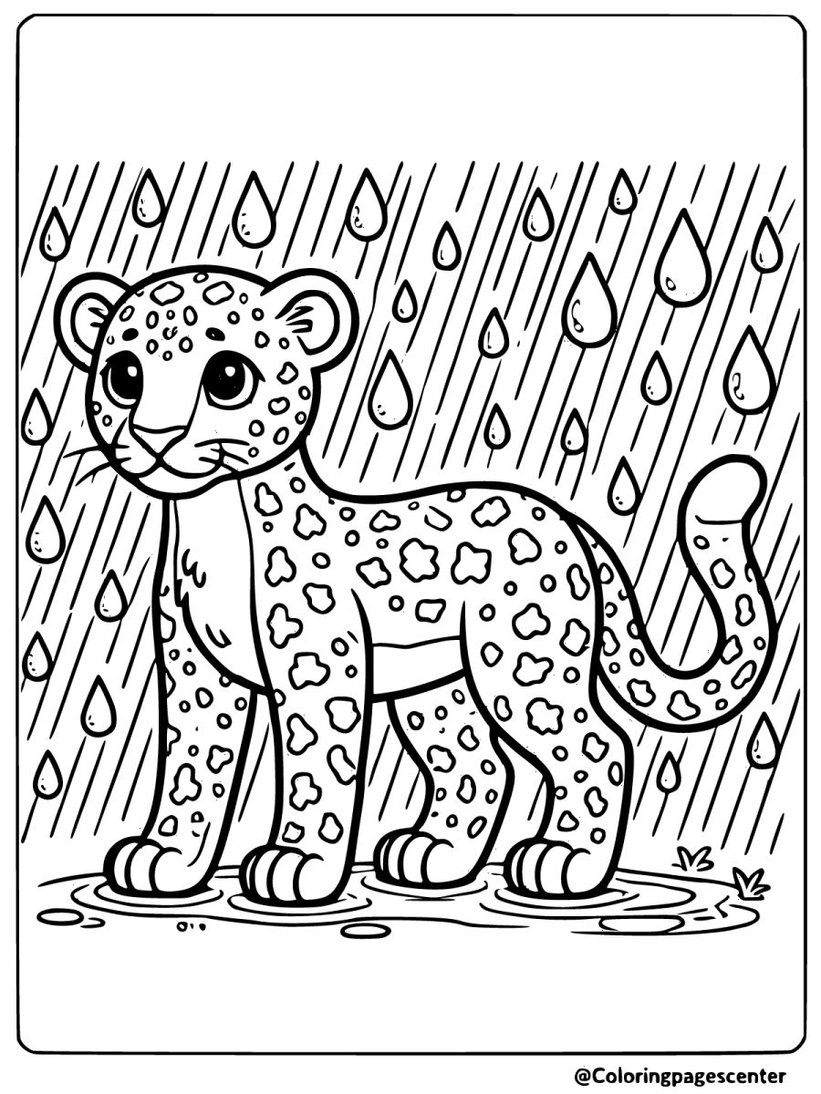 Leopard standing in the rain with water droplets falling around