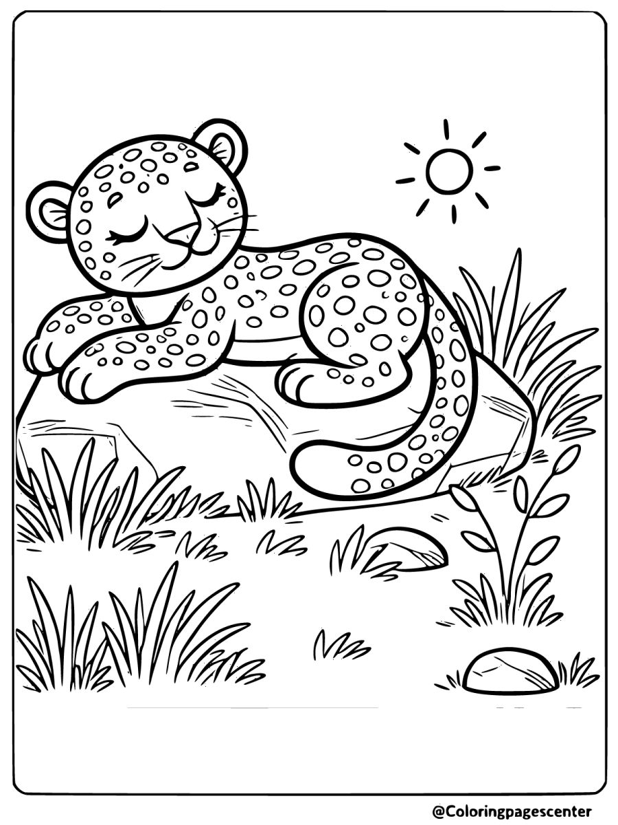 Sleeping leopard on a rock under the sun easy coloring page