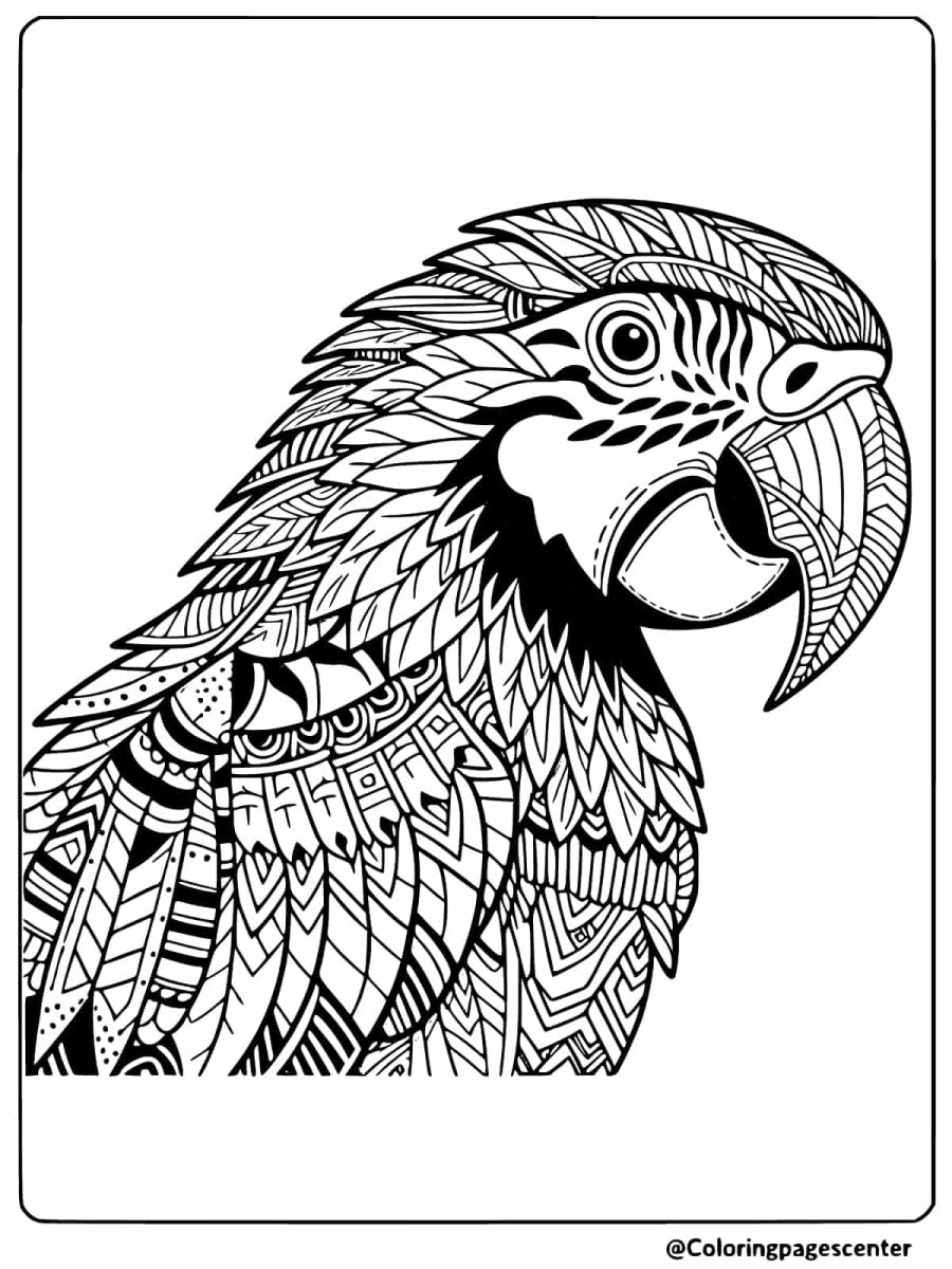 Detailed coloring page featuring a close-up of a macaw's head