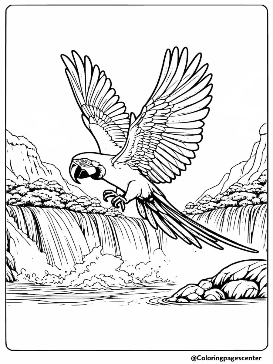 Coloring page of a macaw flying above a waterfall