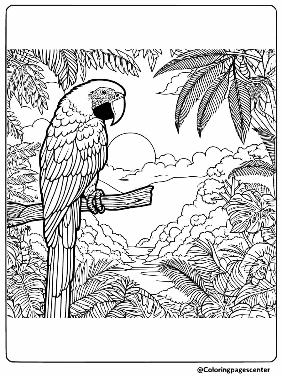 Macaw observing a river from a branch coloring page