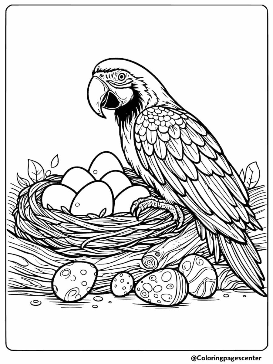 Macaw guarding its nest filled with eggs coloring page