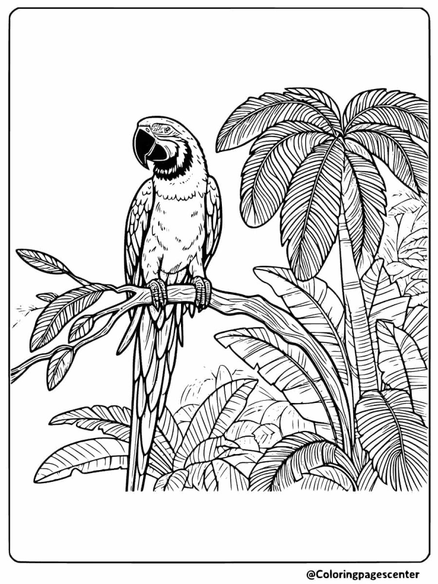 Macaw perched on a branch in a dense forest coloring page