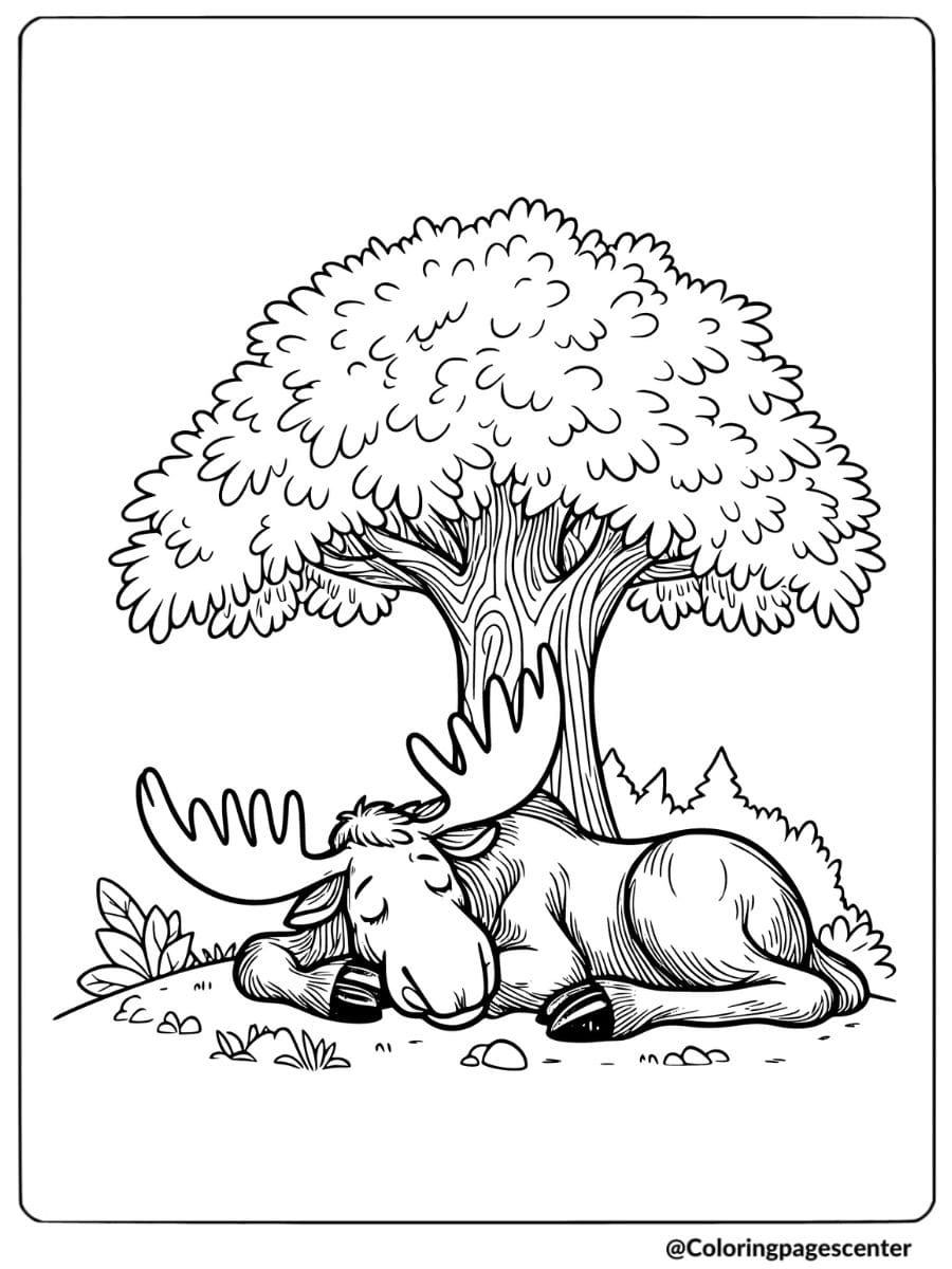 Moose peacefully sleeping under a shady tree coloring page