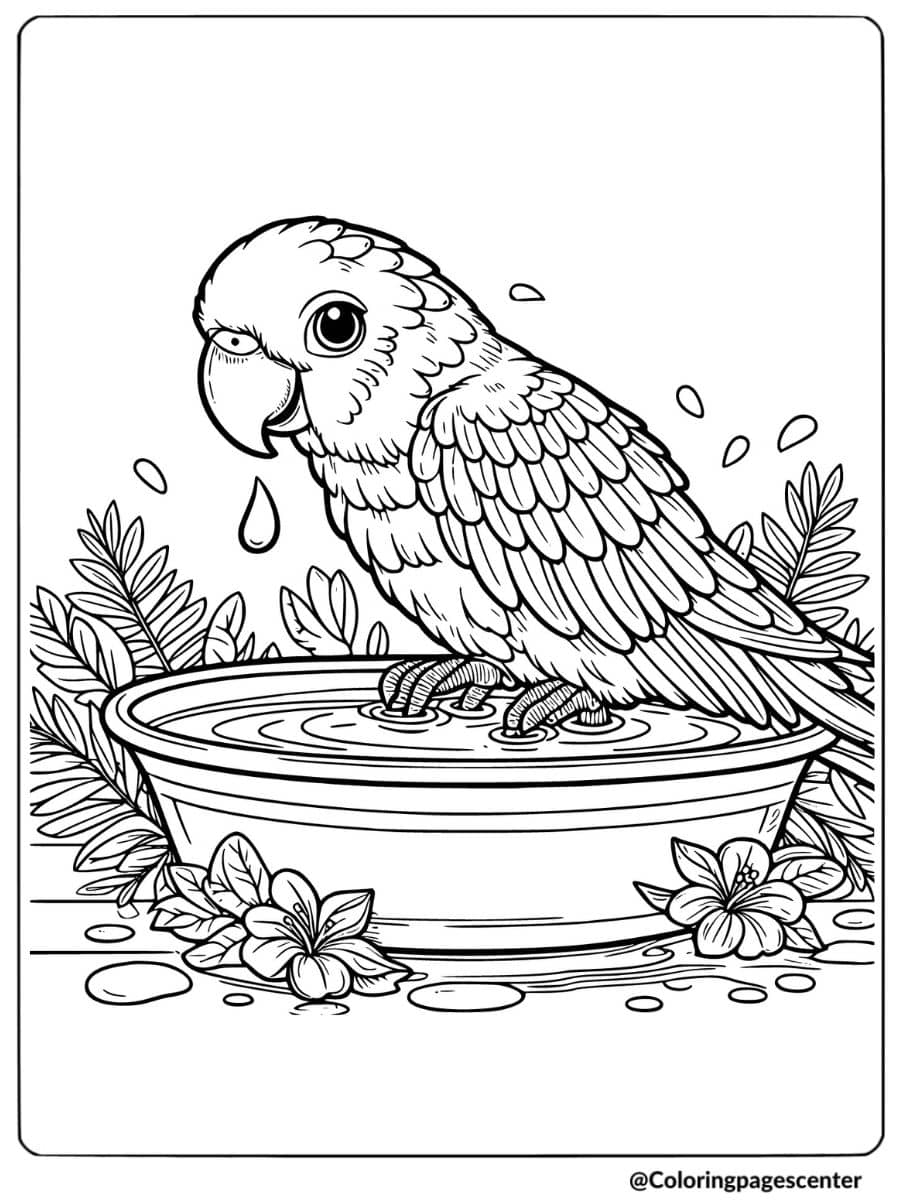 Parrot standing in bird bath surrounded by flowers in coloring page