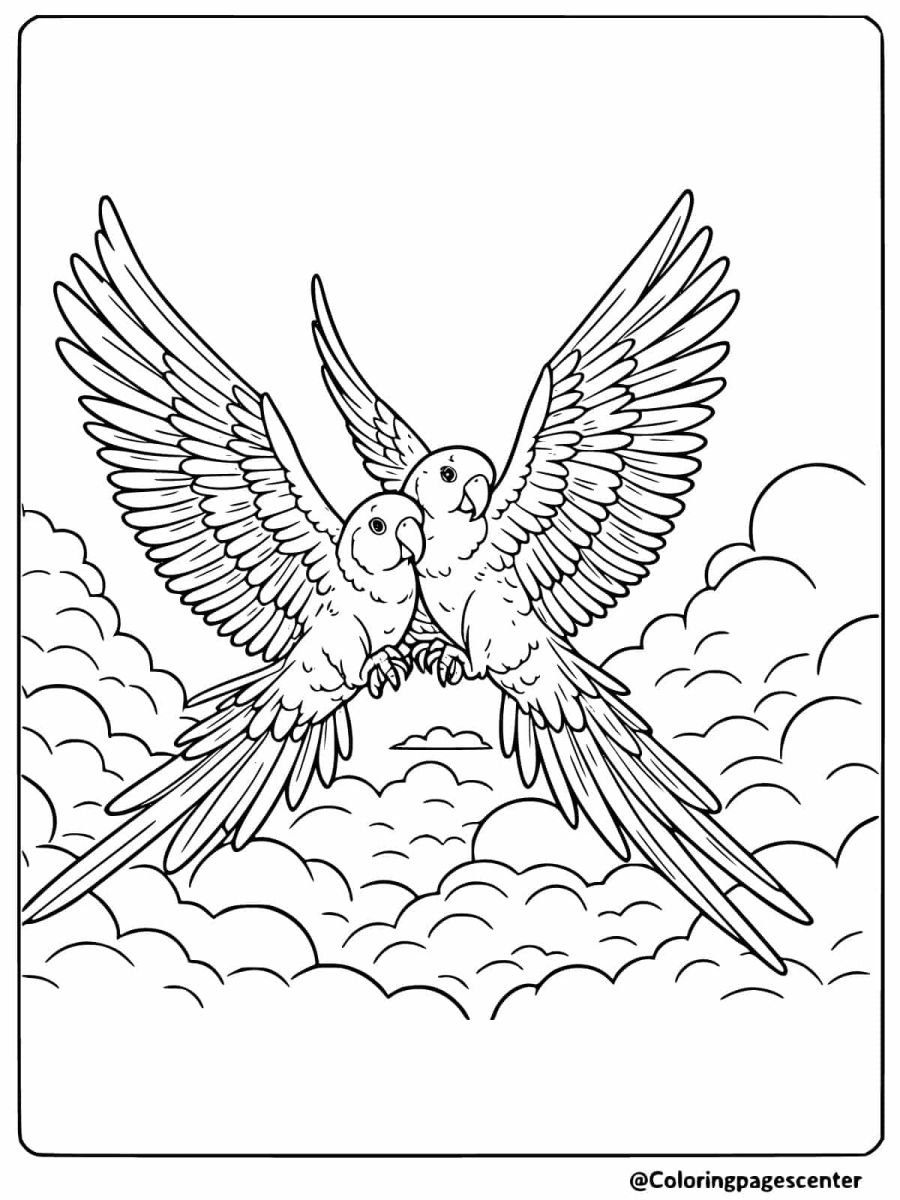 Coloring page featuring two parrots soaring among clouds