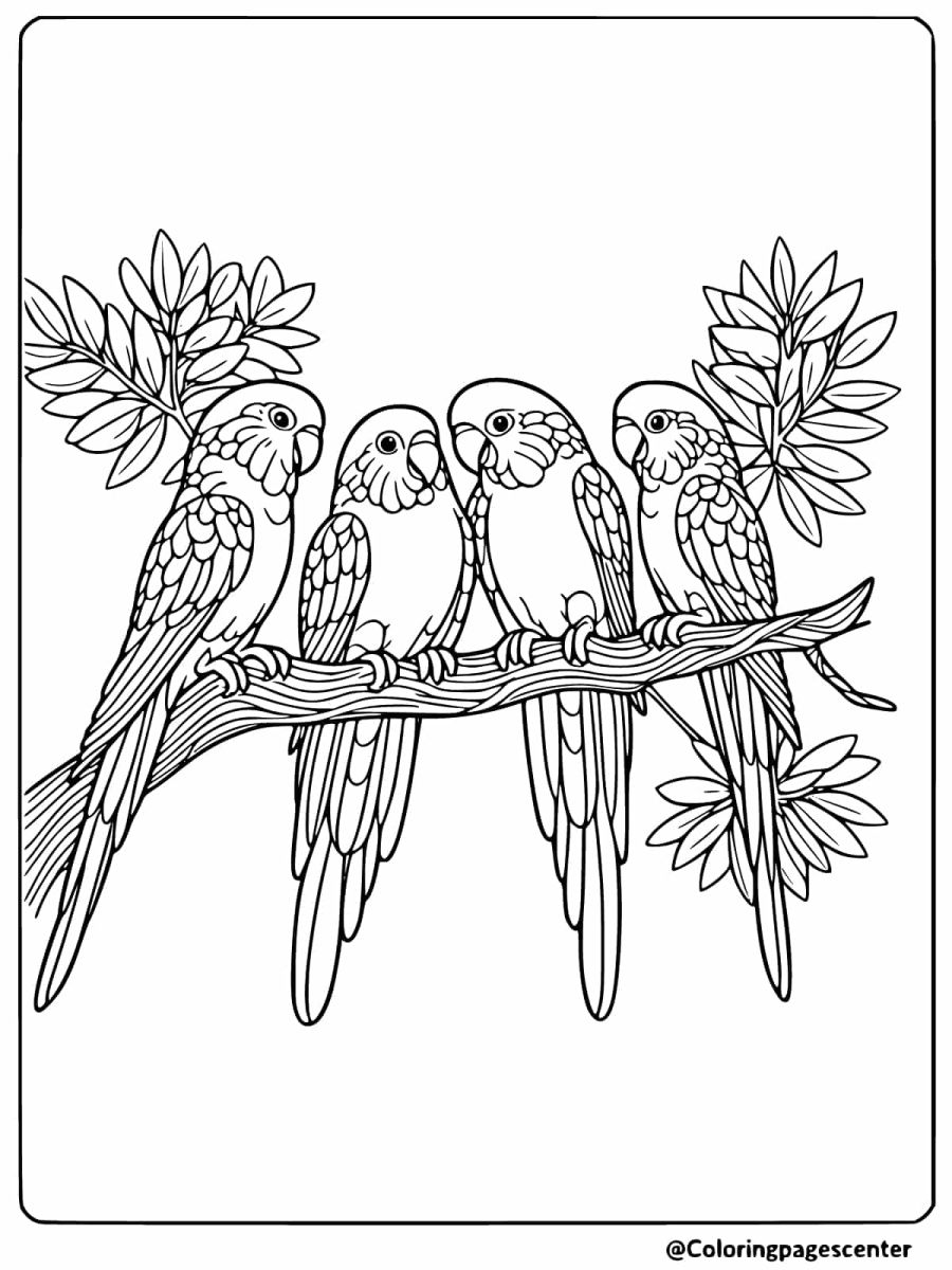 Coloring page showing four parrots sitting on a tree branch