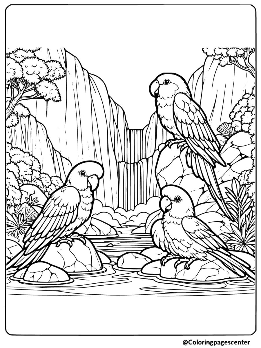 Coloring page with parrots resting near a cascading waterfall