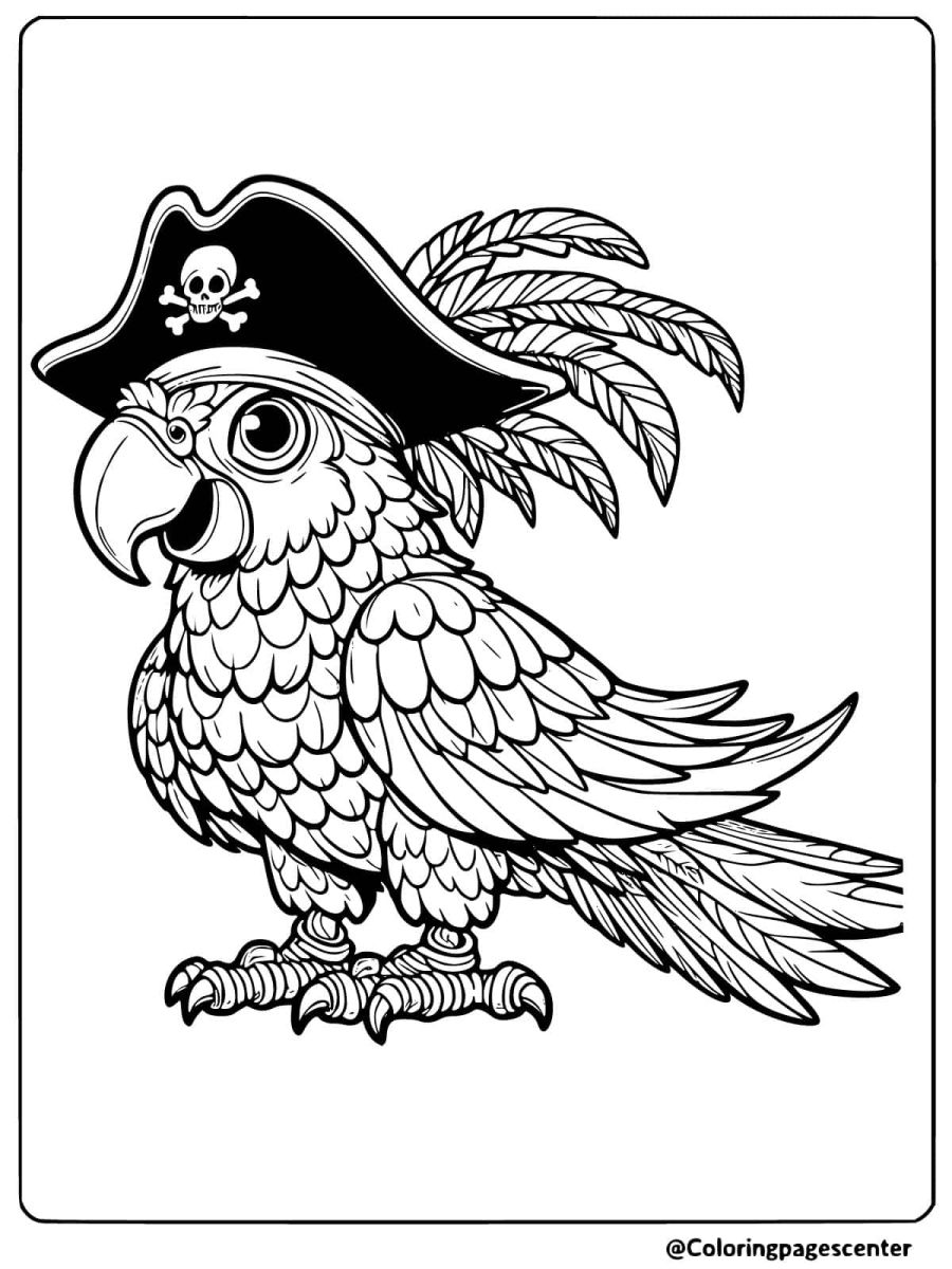 Pirate parrot in hat coloring page