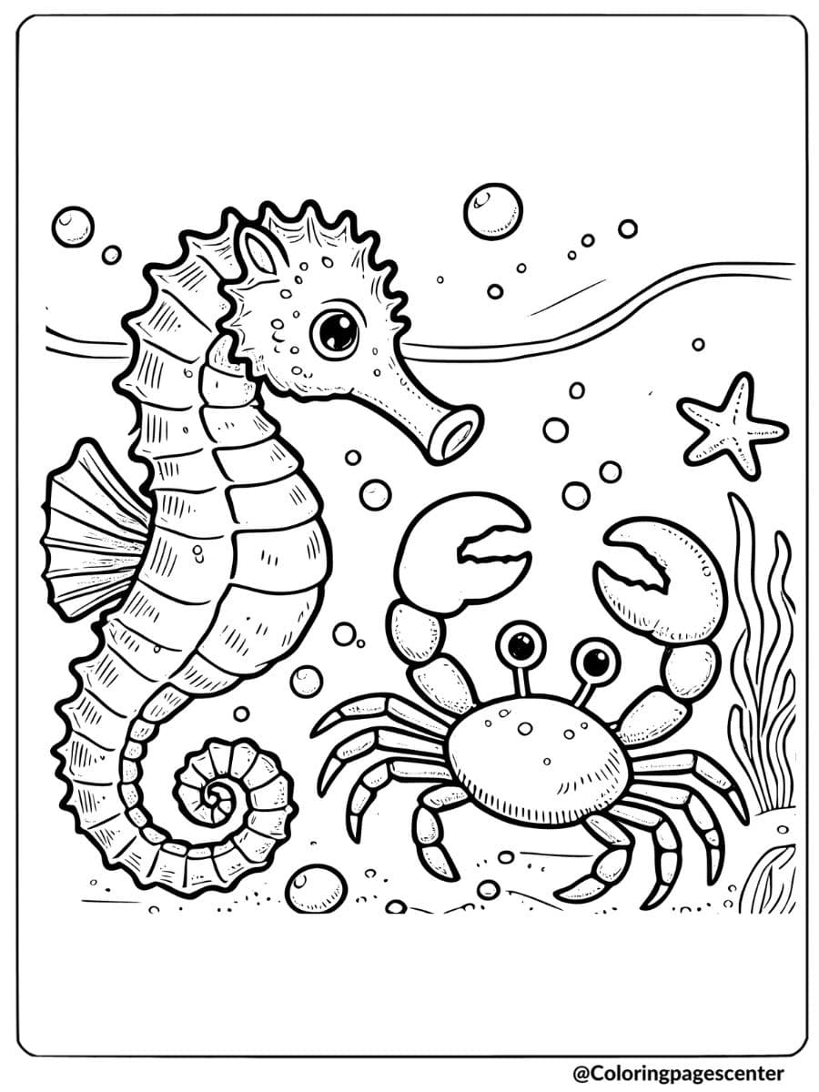 Seahorse meeting a crab underwater coloring page