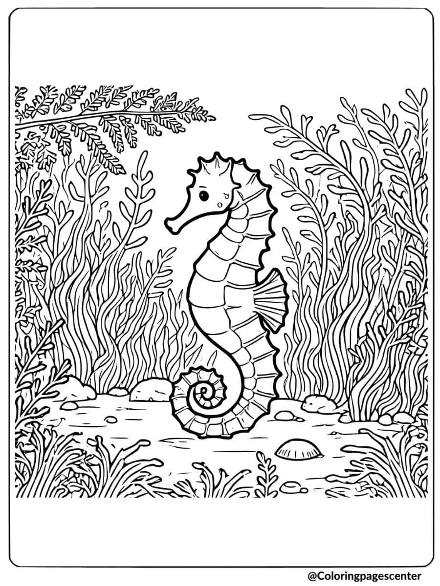 Seahorse surrounded by seagrass underwater coloring page