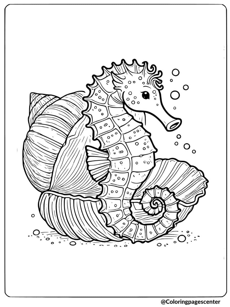 Seahorse resting inside a large seashell coloring page