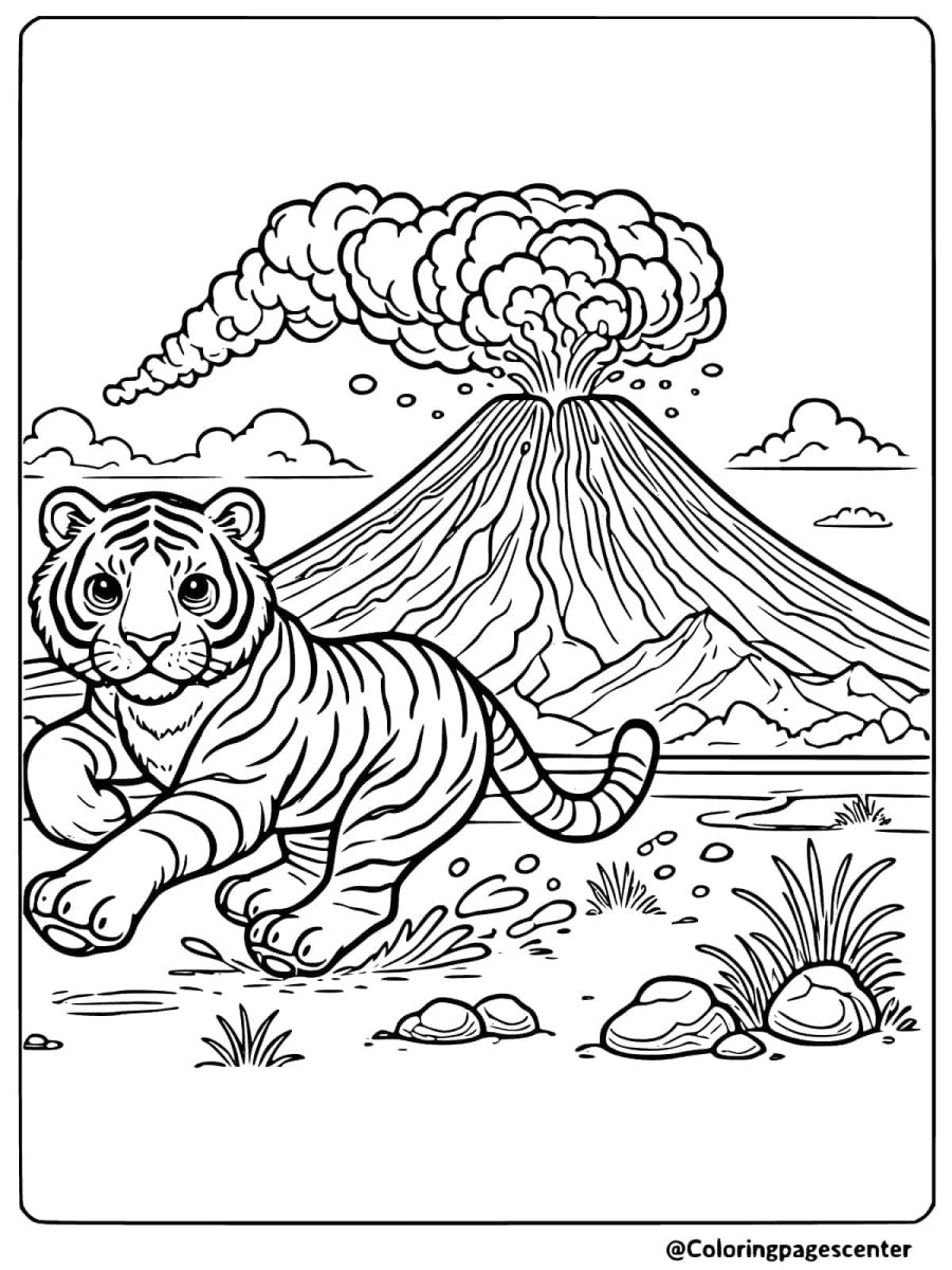 Tiger running with a volcano erupting in the background coloring page