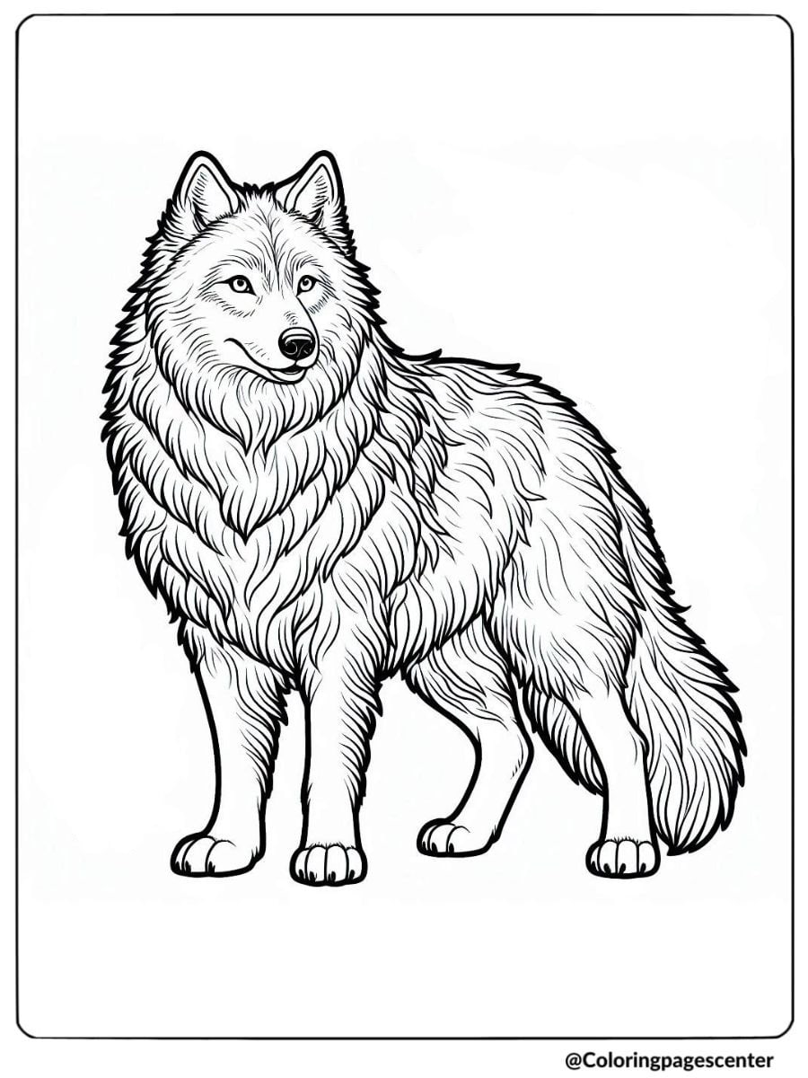 Wolf standing with grace in detailed illustration coloring page