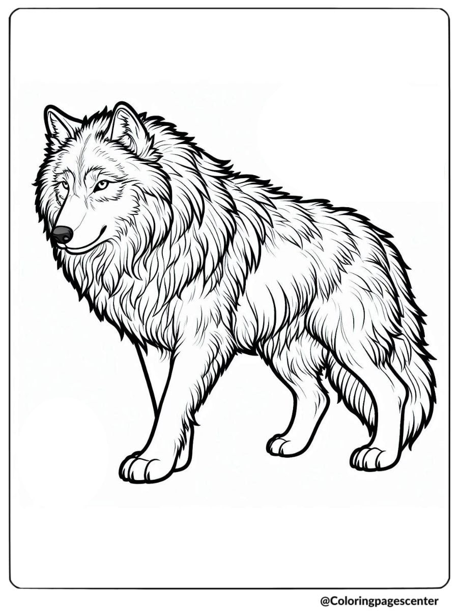 Wolf with an intense gaze standing tall coloring page