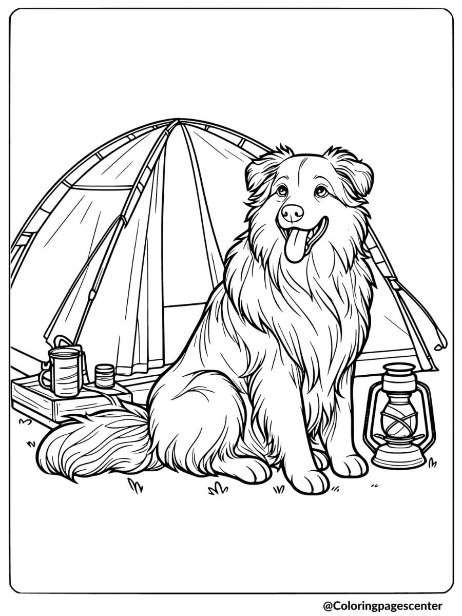 Australian Shepherd sitting by a tent coloring page