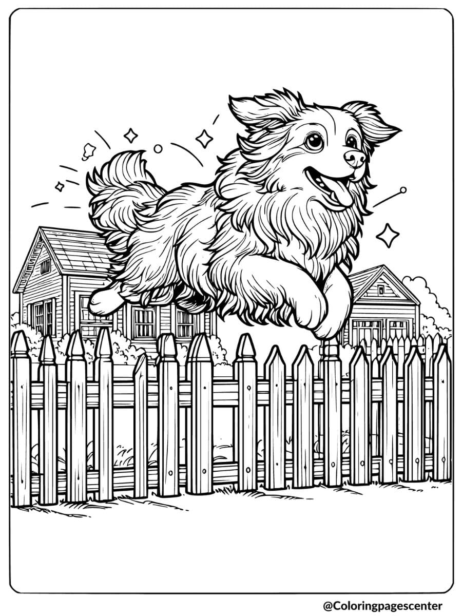 Australian Shepherd leaping over a fence coloring page