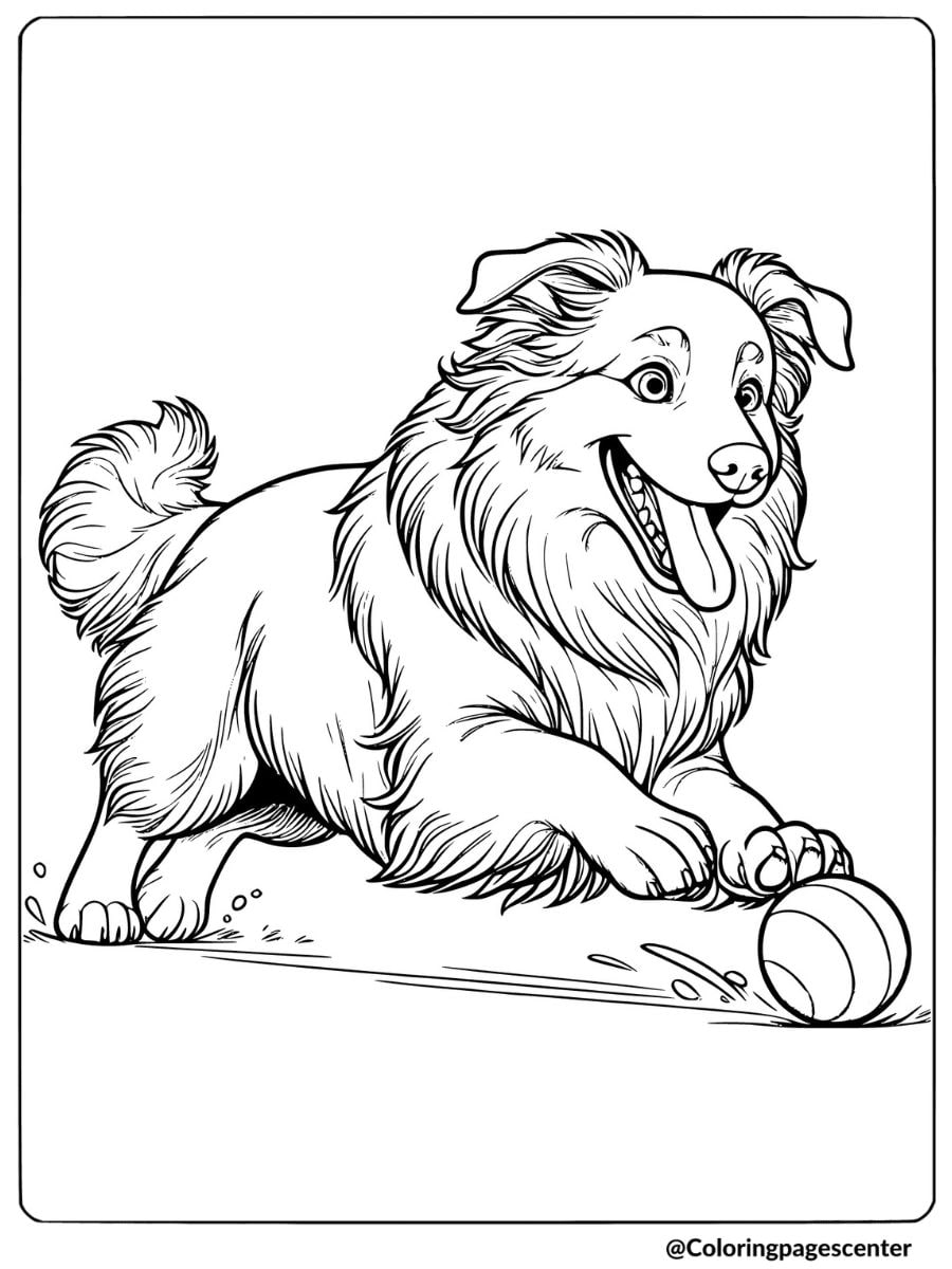 Australian Shepherd playing with a ball coloring page