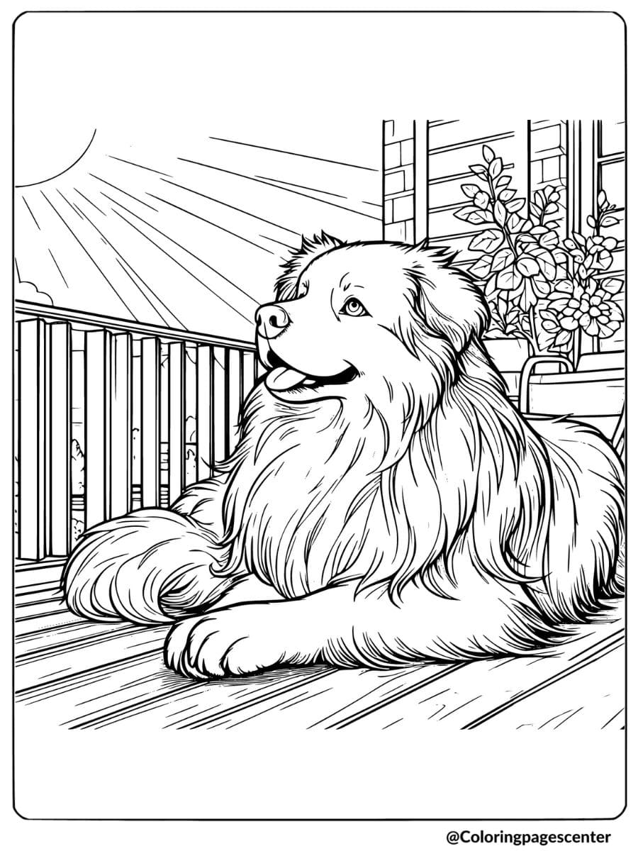 Australian Shepherd lounging on a porch coloring page