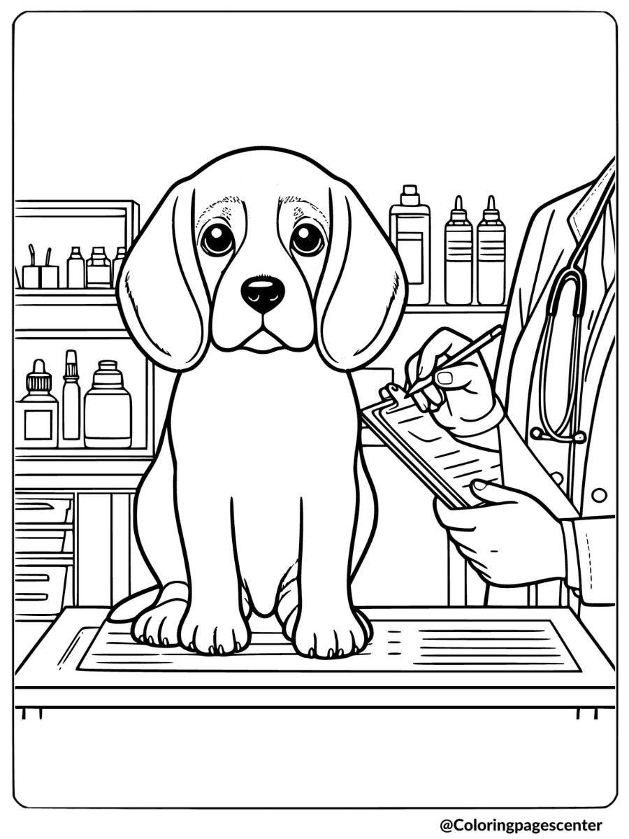 Beagle sitting on a vet’s examination table coloring page