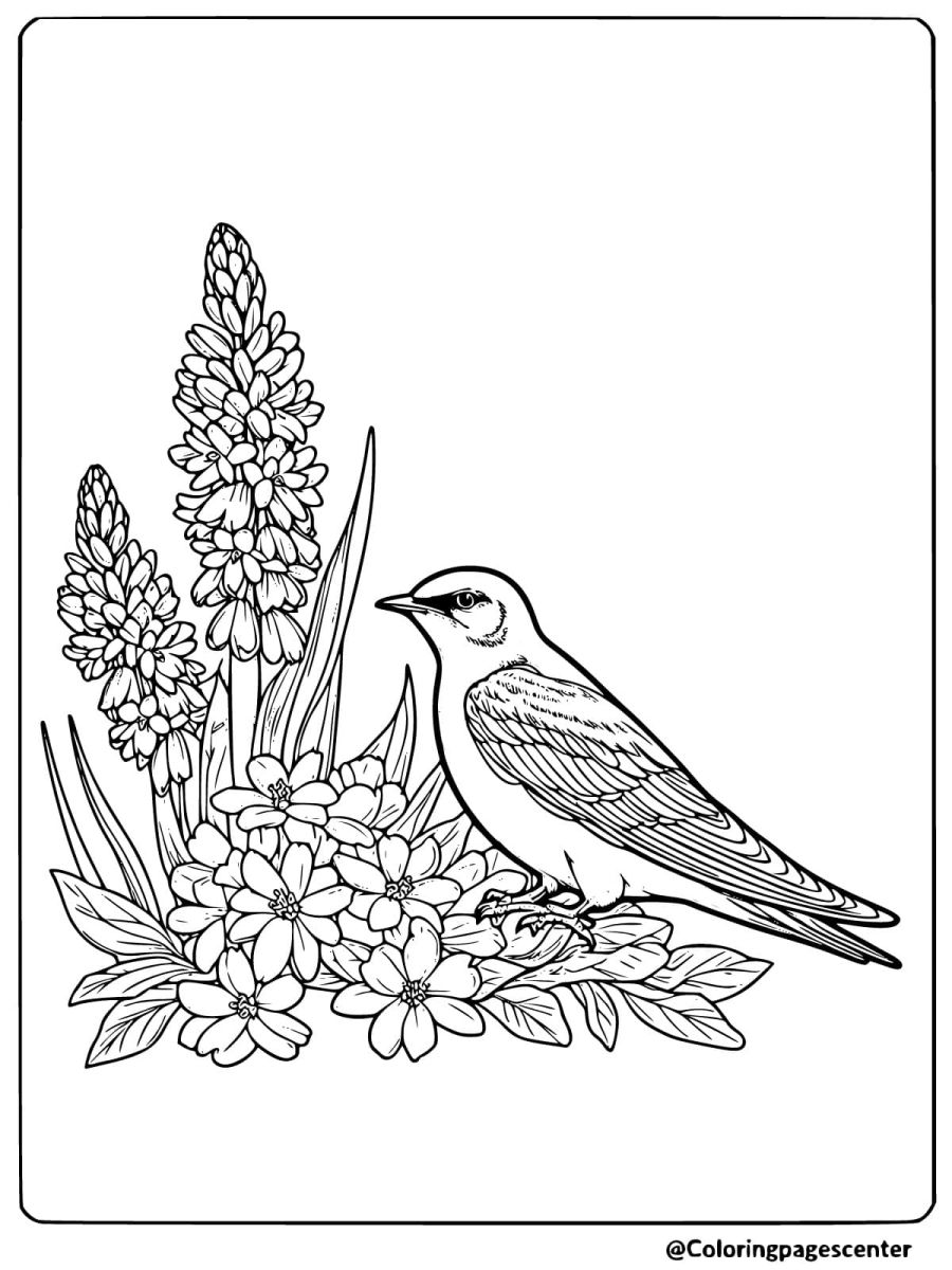 Bird and flower coloring page with swallow and wildflowers