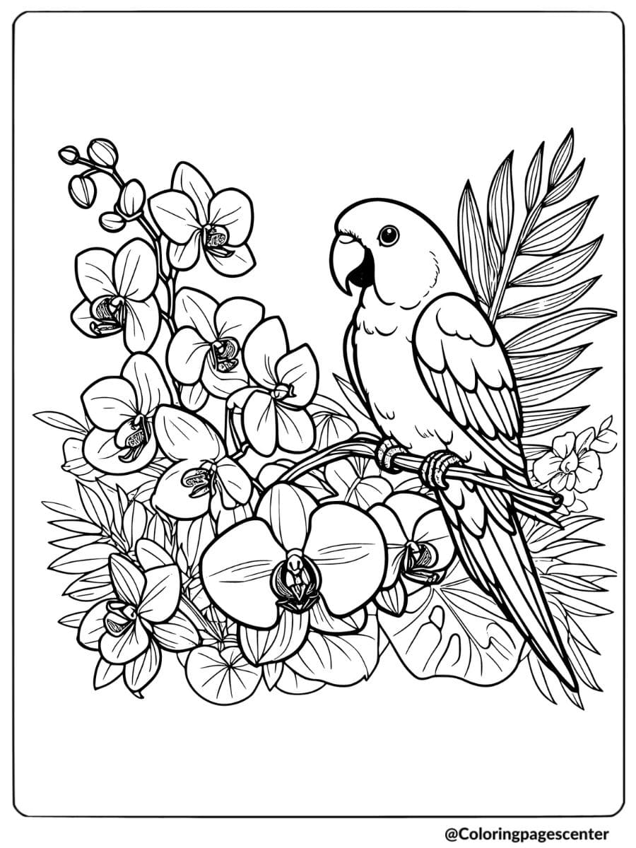 Bird and flower coloring page with parrot and orchids