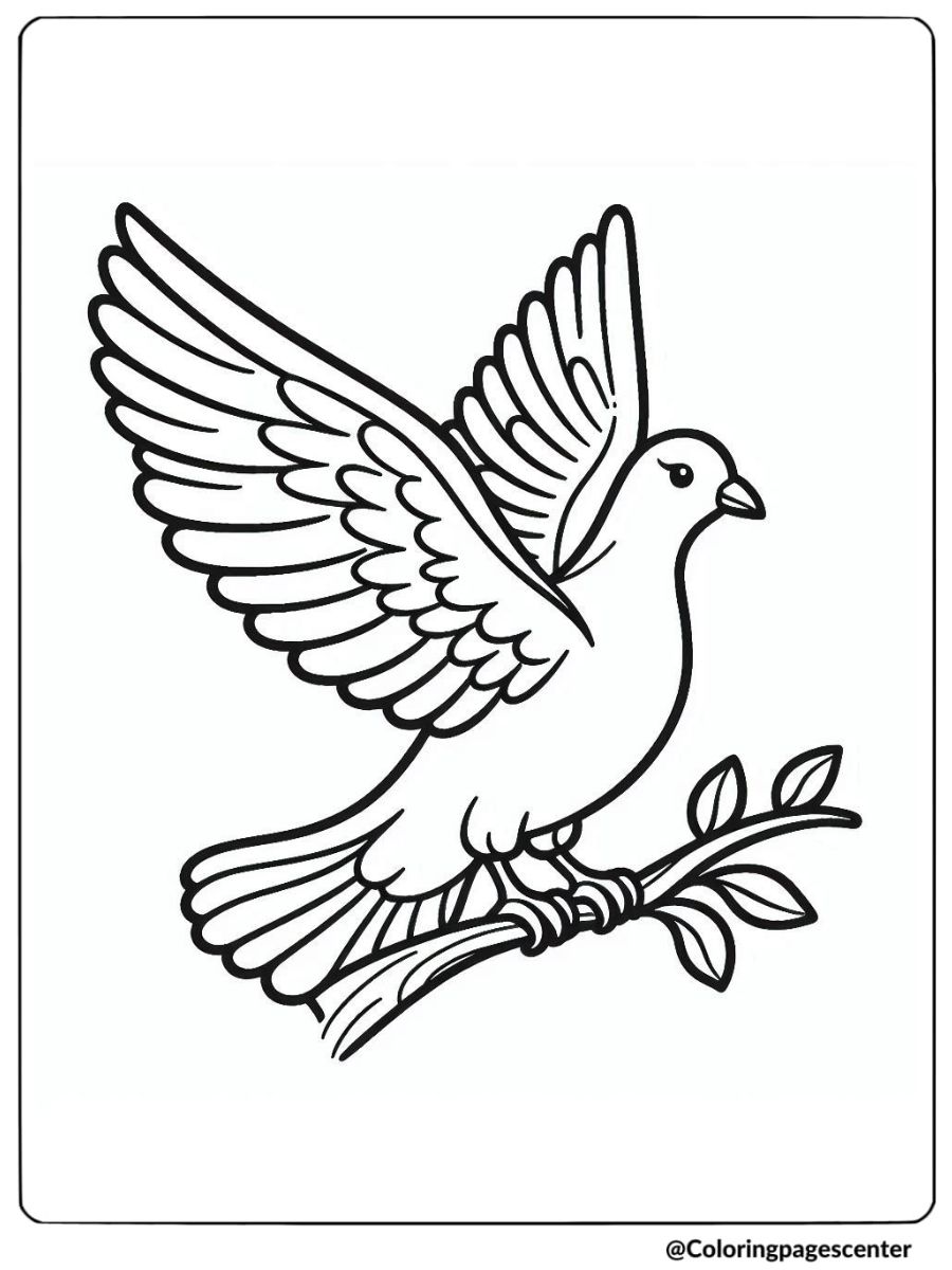 Dove bird flying with spread wings coloring page