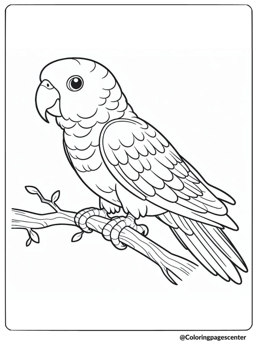 Parrot bird perched on a branch coloring page