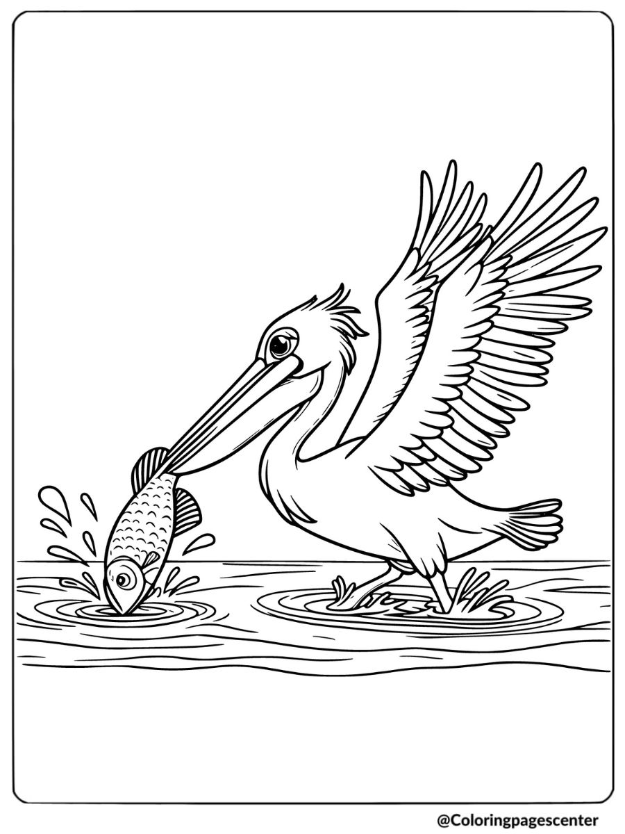 Pelican bird catching a fish in the water coloring page