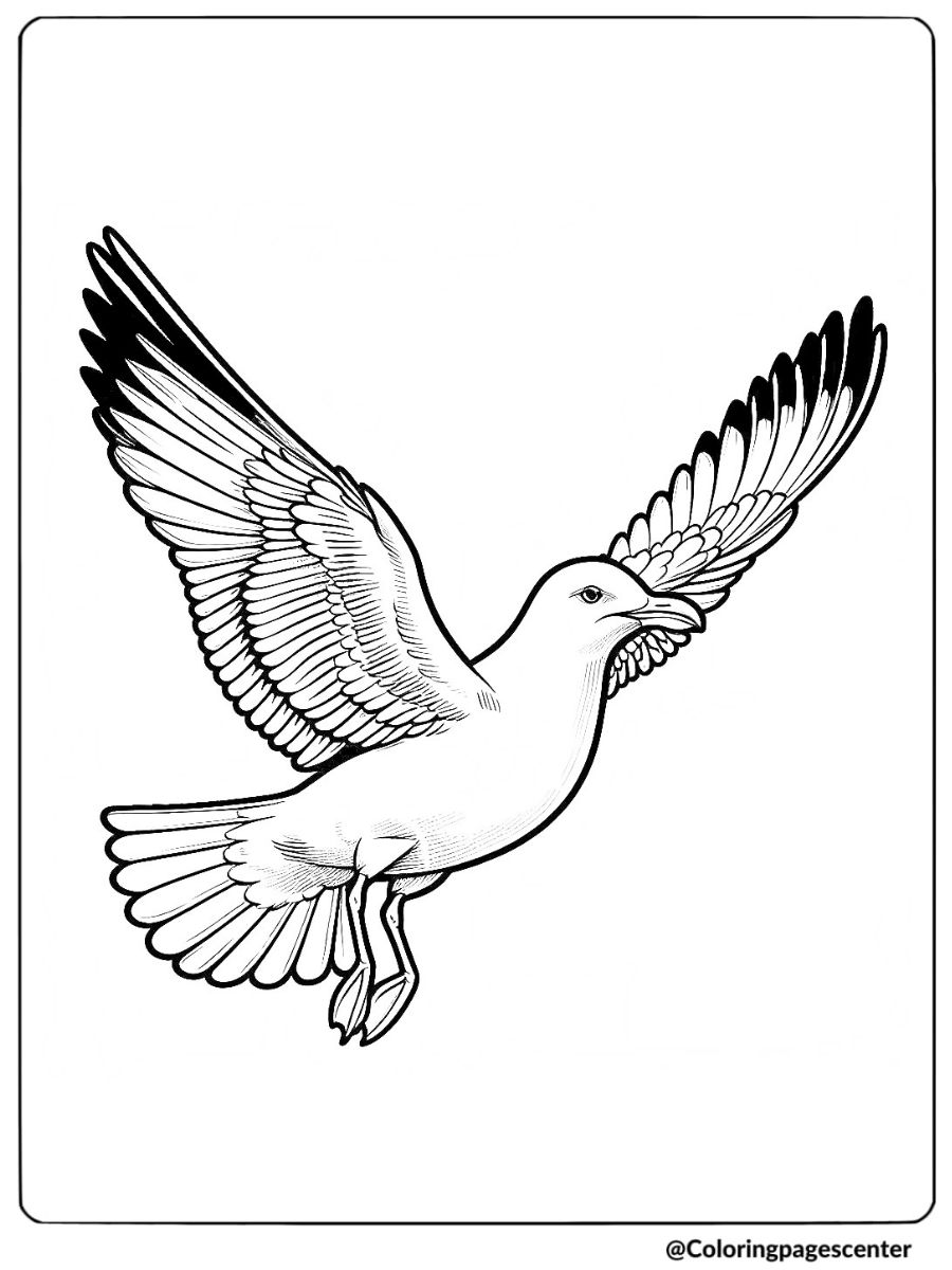 Flying seagull bird coloring page