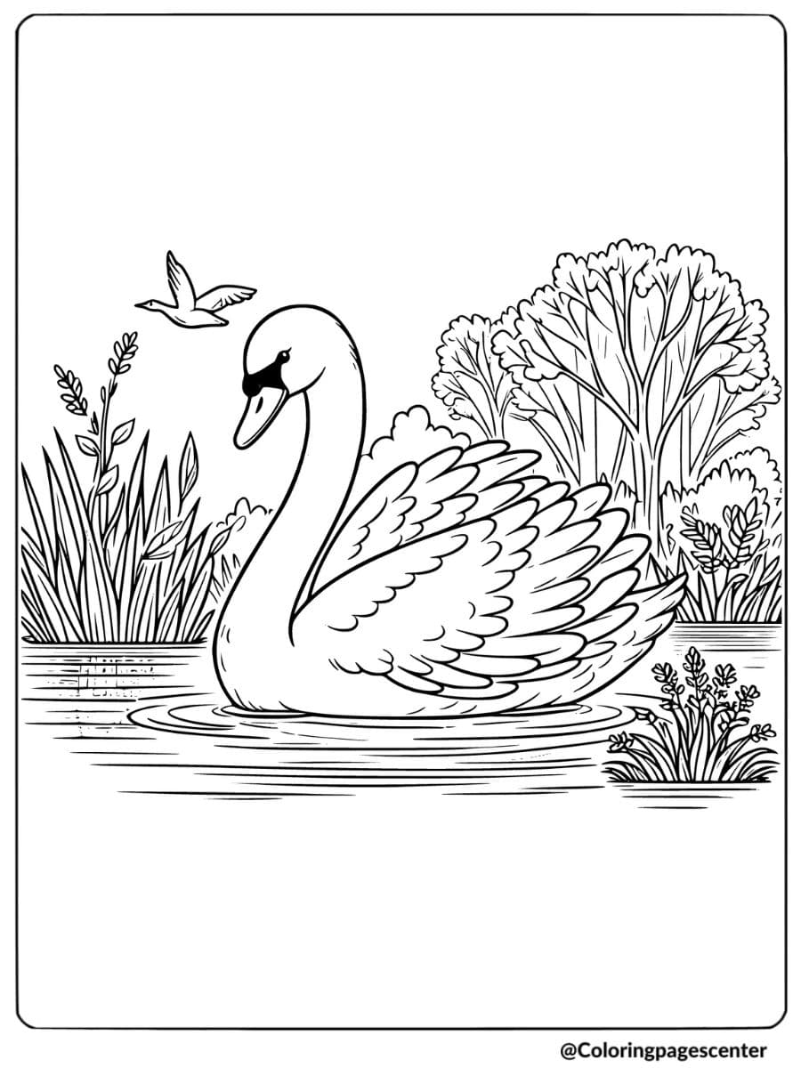 Swan bird gracefully swimming in a peaceful pond coloring page