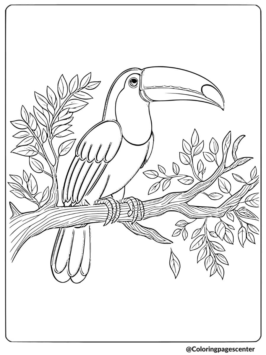 Toucan bird perched on a tree branch with large beak coloring page