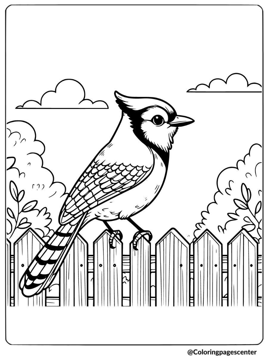 Blue jay sitting on a fence coloring page