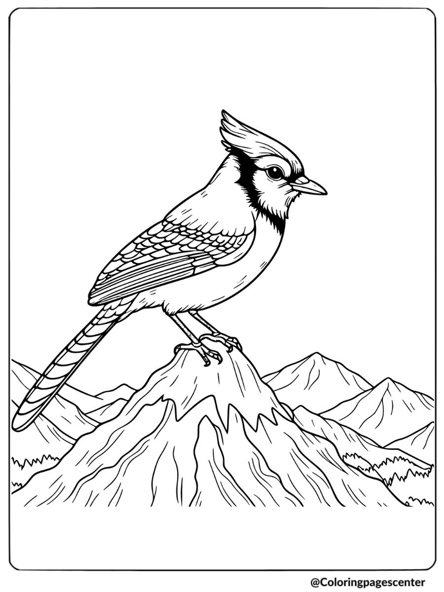 Blue jay standing on a mountain peak coloring page