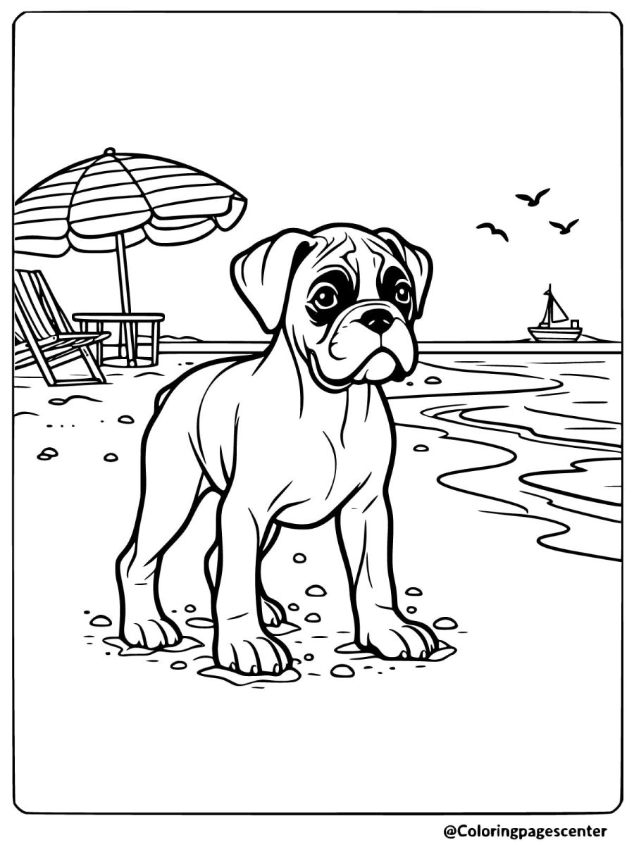 Boxer dog standing by the sea on the beach coloring page