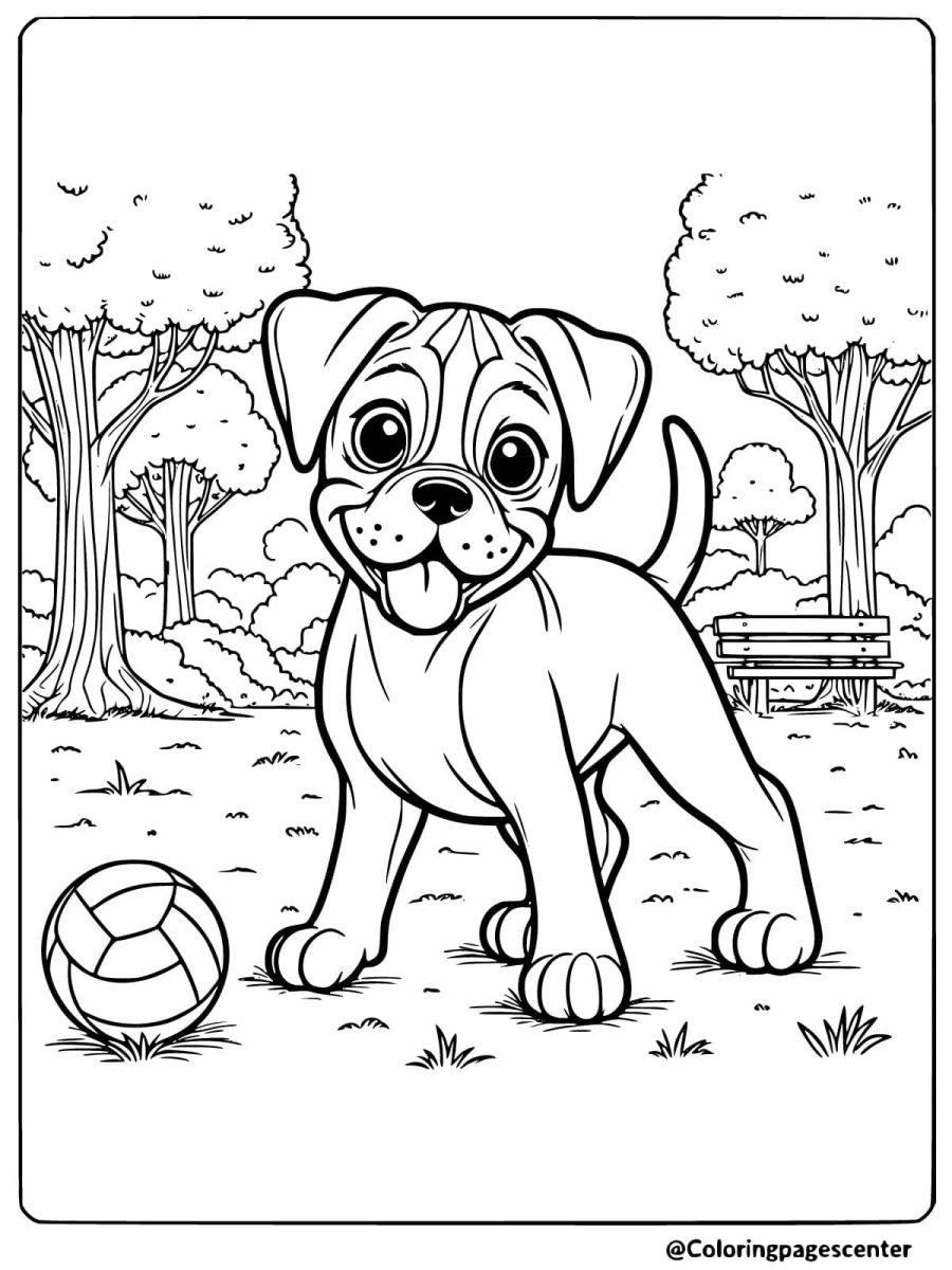 Playful boxer dog with a ball in the park coloring page