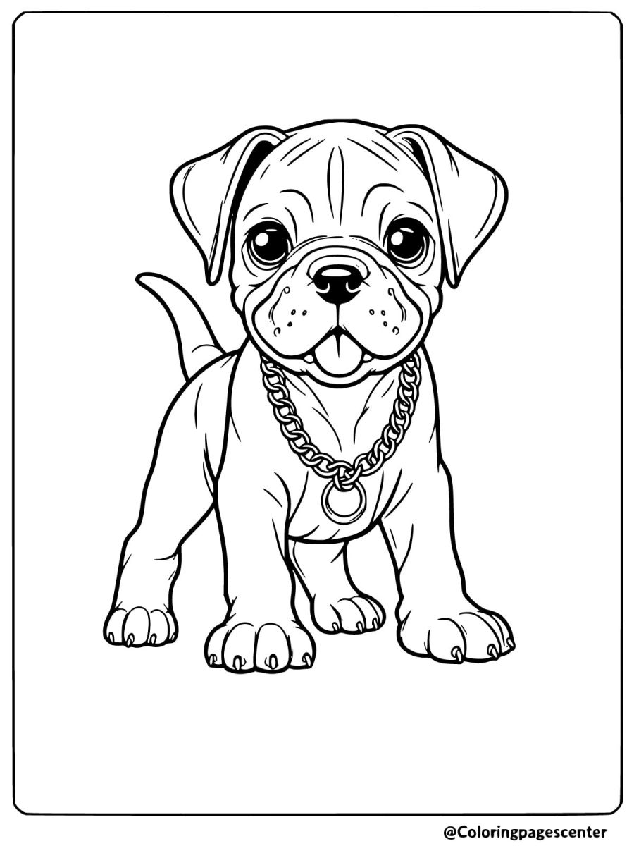 Boxer puppy wearing a chain collar standing coloring page