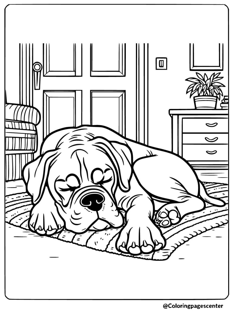 Boxer dog sleeping on a rug inside a house coloring page