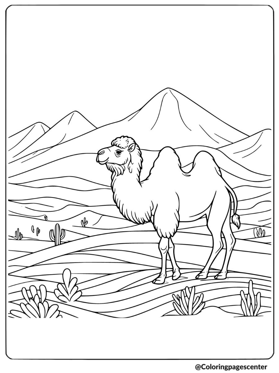 Coloring page of a camel in the mountains and cacti