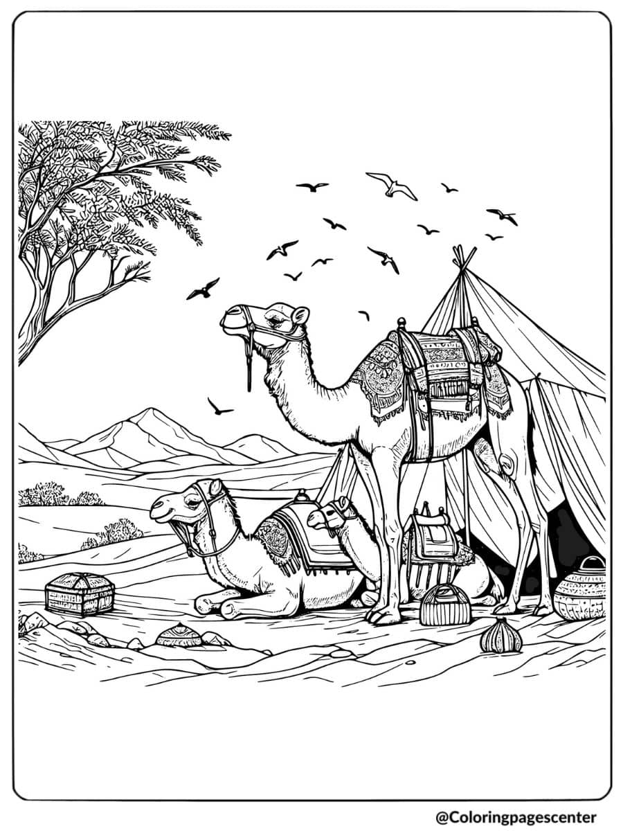 Two camels resting at a desert camp coloring page