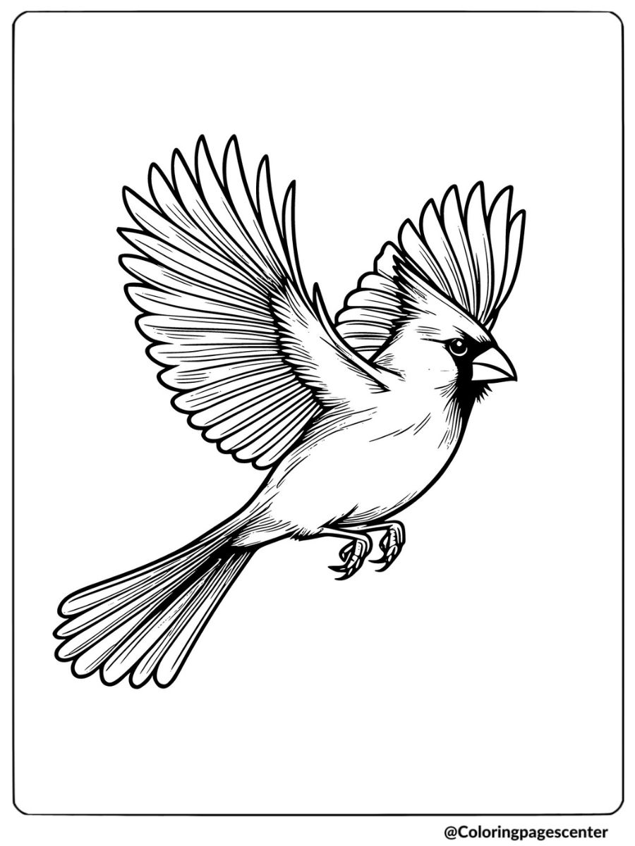 Cardinal flying in the air coloring page