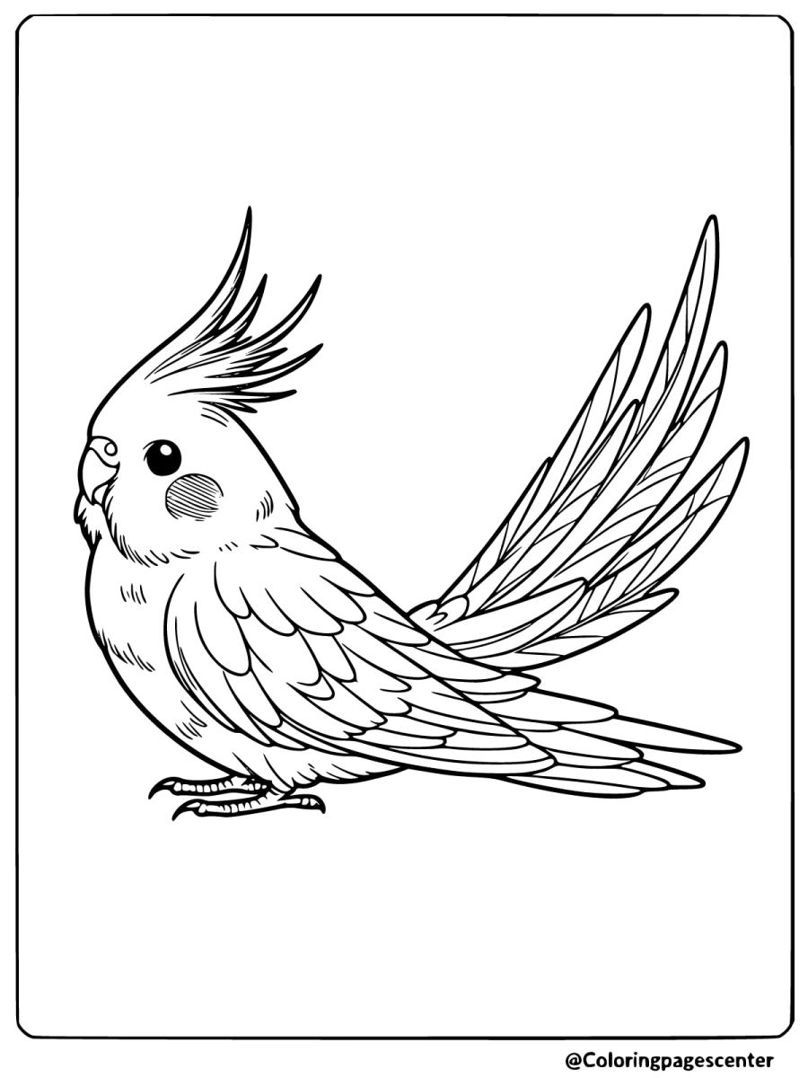 Cockatiel sitting down coloring page