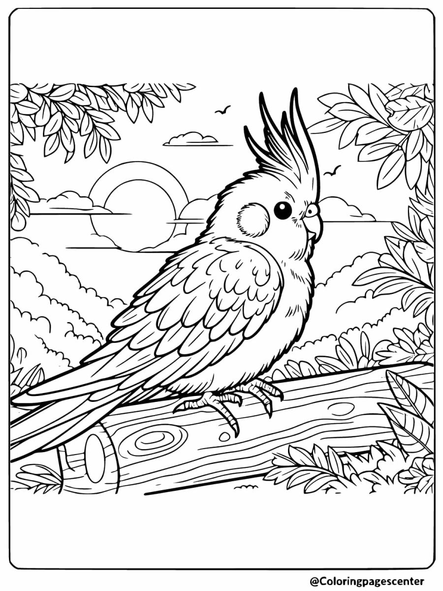 Cockatiel perched on a tree log in nature coloring page