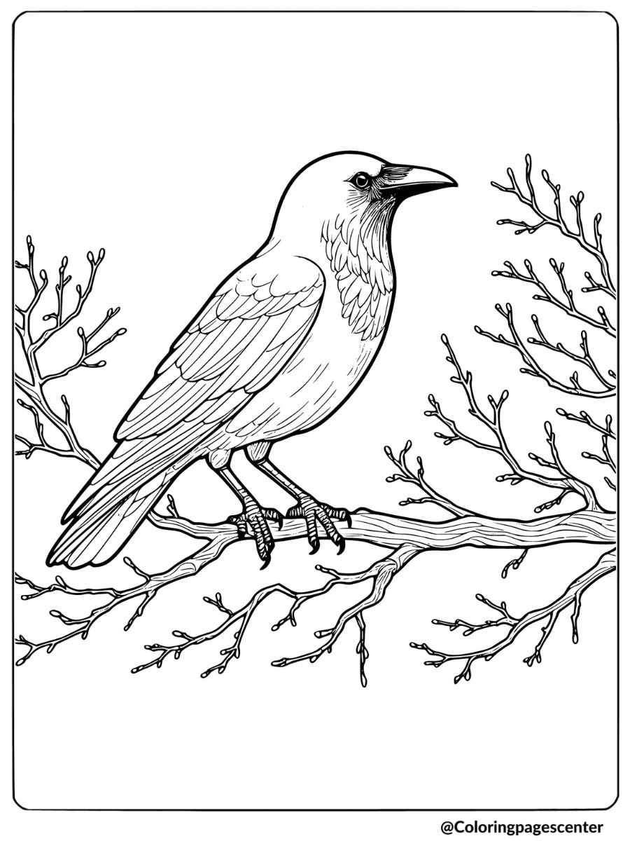 A perched crow on a tree branch coloring page