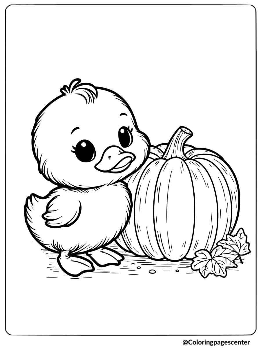 Cute duck posing with a large pumpkin coloring page