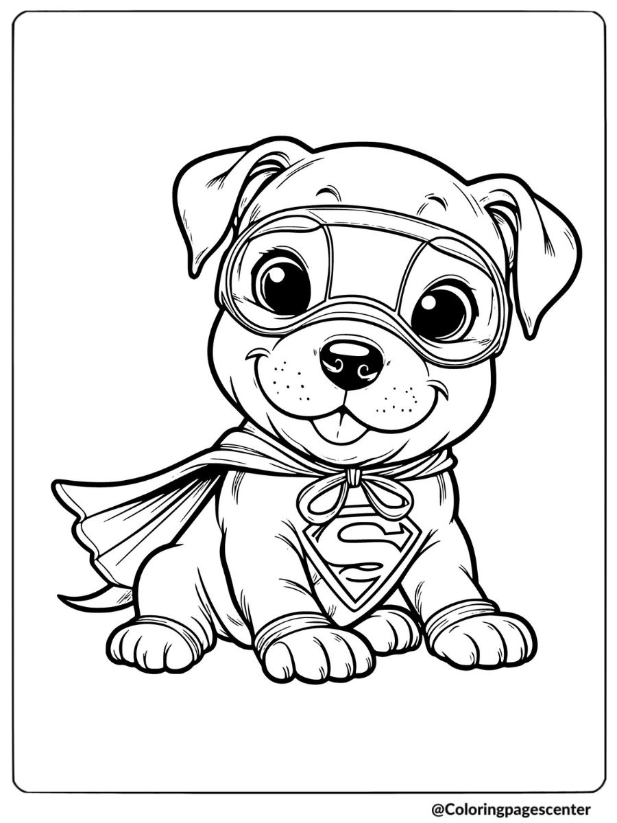 Coloring page of a cute pitbull dressed as a superhero