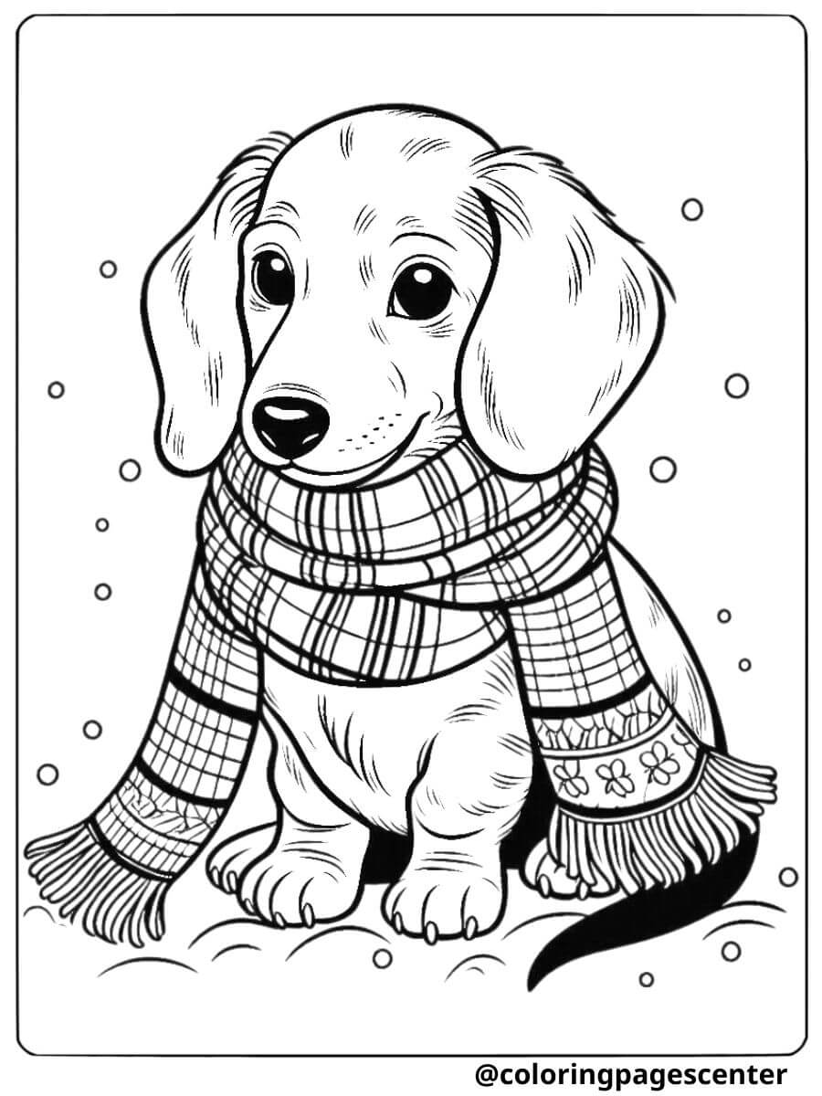 Dachshund with scarf in winter scene coloring page