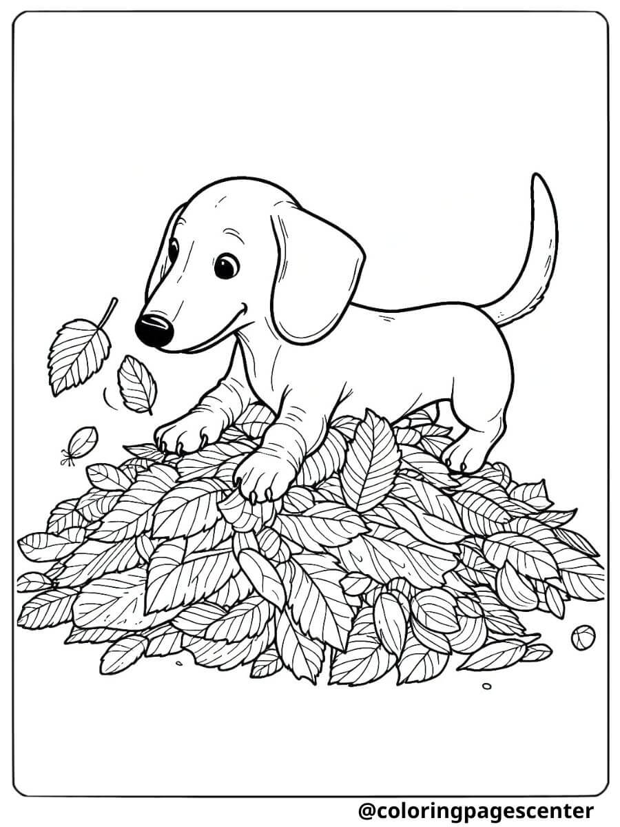 Dachshund playing with autumn leaves coloring page