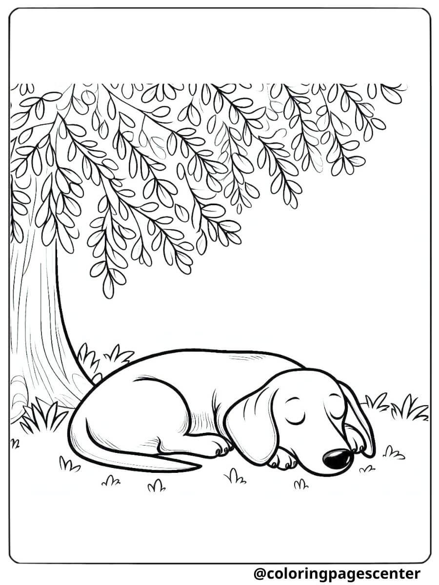 Dachshund napping under a tree coloring page