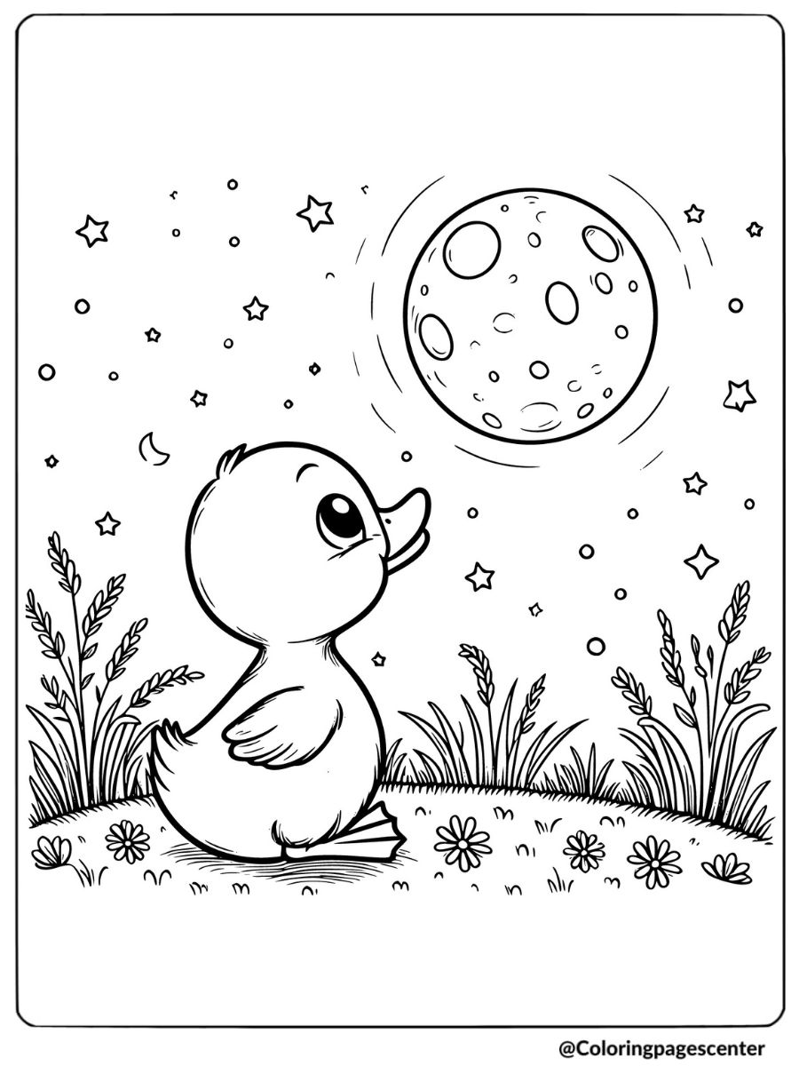 Duckling Staring At The Moon And Stars Coloring Page